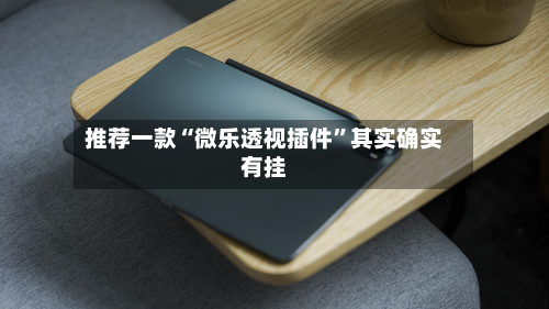 推荐一款“微乐透视插件”其实确实有挂