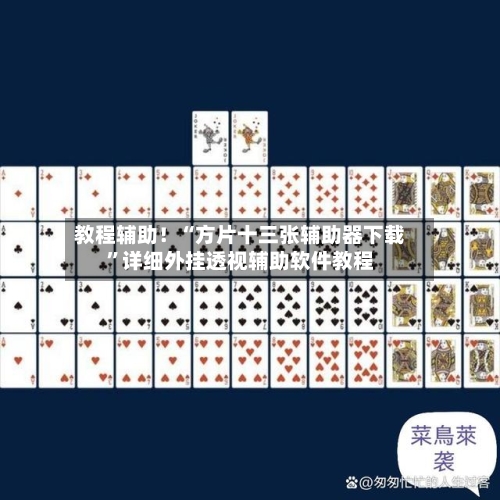 教程辅助！“方片十三张辅助器下载	”详细外挂透视辅助软件教程-第2张图片