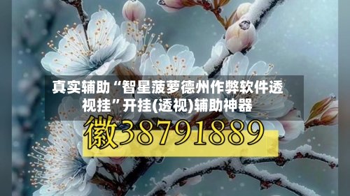 真实辅助“智星菠萝德州作弊软件透视挂”开挂(透视)辅助神器-第3张图片