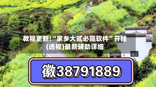 教程更新!“家乡大贰必赢软件”开挂(透视)最新辅助详细-第2张图片