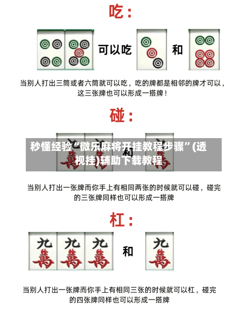 秒懂经验“微乐麻将开挂教程步骤”(透视挂)辅助下载教程
