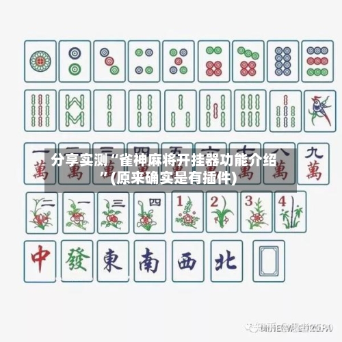 分享实测“雀神麻将开挂器功能介绍	”(原来确实是有插件)-第2张图片