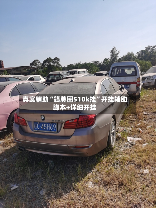 真实辅助“赣牌圈510k挂”开挂辅助脚本+详细开挂-第2张图片