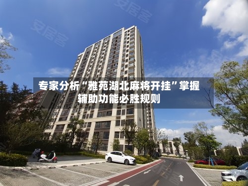 专家分析“雅苑湖北麻将开挂”掌握辅助功能必胜规则