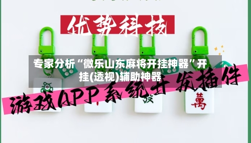 专家分析“微乐山东麻将开挂神器”开挂(透视)辅助神器-第3张图片