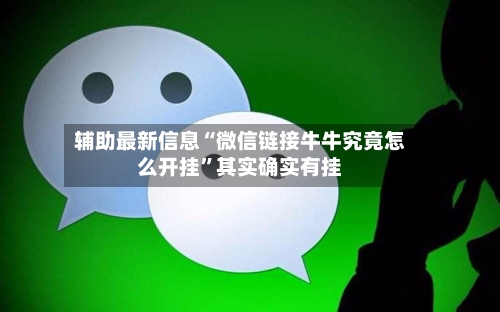 辅助最新信息“微信链接牛牛究竟怎么开挂”其实确实有挂-第3张图片