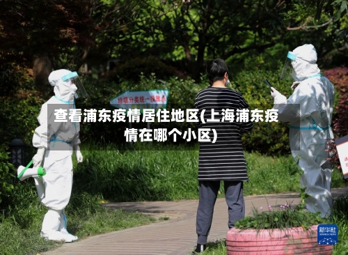 查看浦东疫情居住地区(上海浦东疫情在哪个小区)-第3张图片
