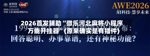2026首发辅助“微乐河北麻将小程序万能开挂器”(原来确实是有插件)-第3张图片