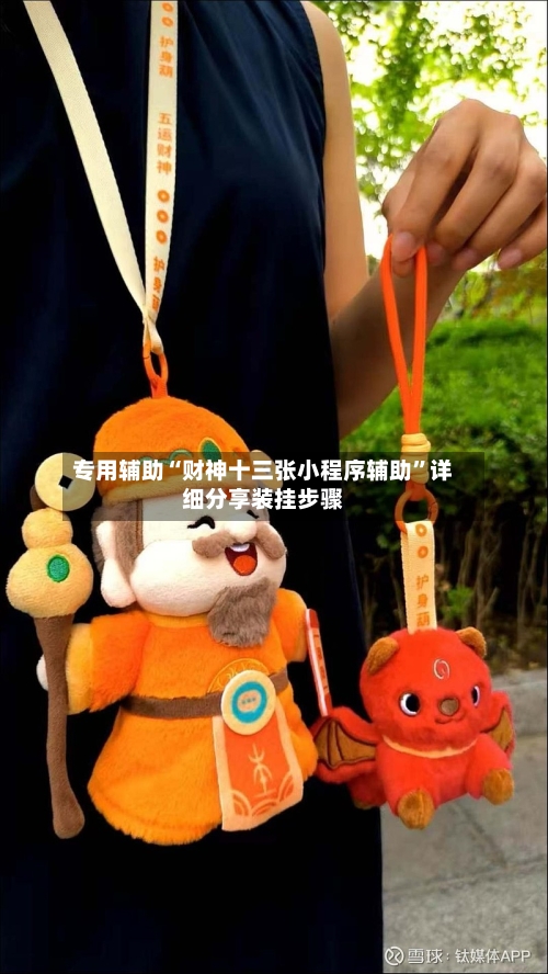 专用辅助“财神十三张小程序辅助	”详细分享装挂步骤-第2张图片