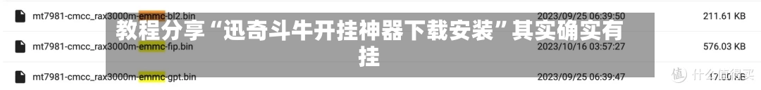 教程分享“迅奇斗牛开挂神器下载安装”其实确实有挂-第2张图片