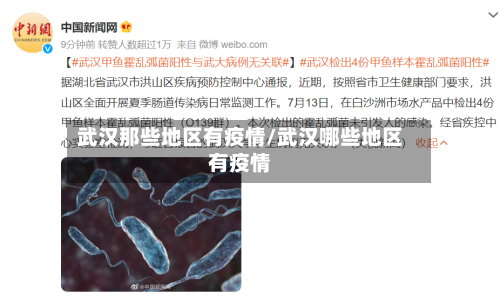 武汉那些地区有疫情/武汉哪些地区有疫情-第3张图片