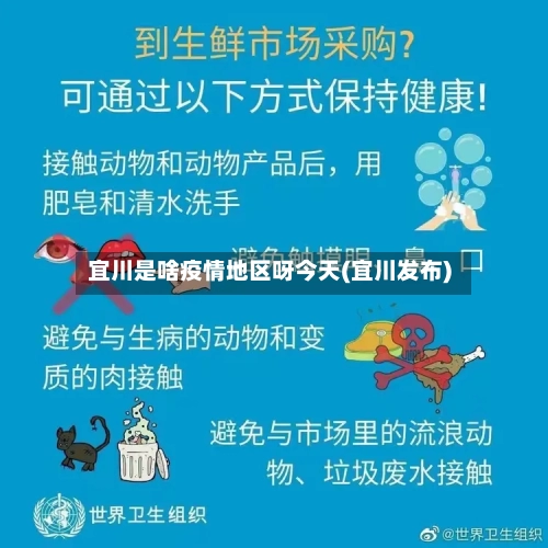 宜川是啥疫情地区呀今天(宜川发布)-第3张图片