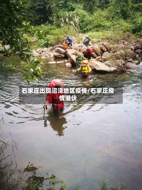 石家庄出现沼泽地区疫情/石家庄疫情潜伏