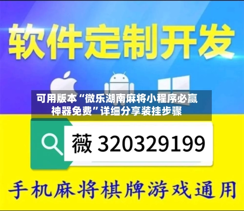 可用版本“微乐湖南麻将小程序必赢神器免费”详细分享装挂步骤-第3张图片