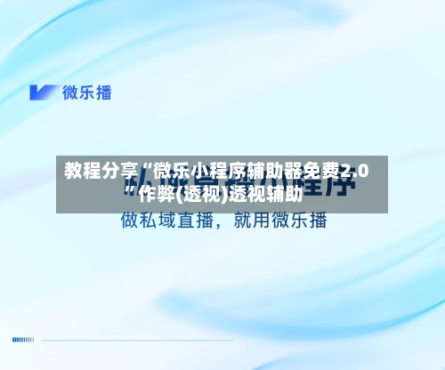 教程分享“微乐小程序辅助器免费2.0”作弊(透视)透视辅助-第2张图片