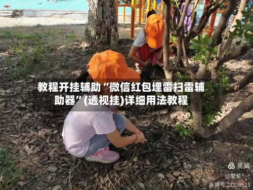 教程开挂辅助“微信红包埋雷扫雷辅助器”(透视挂)详细用法教程-第3张图片