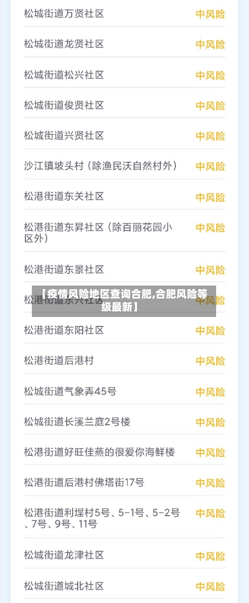【疫情风险地区查询合肥,合肥风险等级最新】-第3张图片