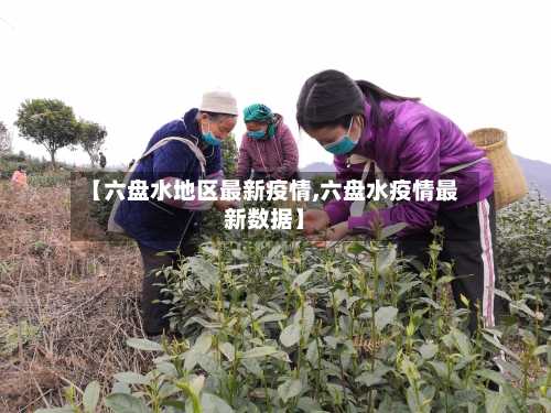 【六盘水地区最新疫情,六盘水疫情最新数据】