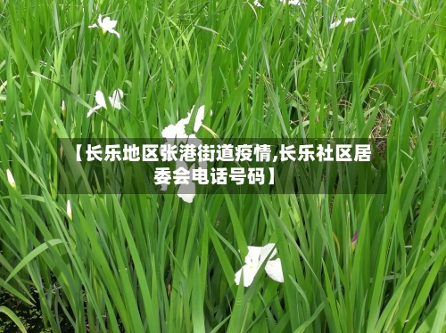 【长乐地区张港街道疫情,长乐社区居委会电话号码】