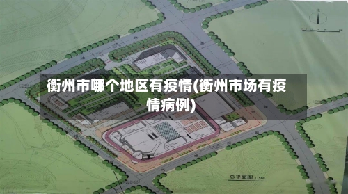 衡州市哪个地区有疫情(衡州市场有疫情病例)