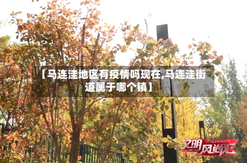 【马连洼地区有疫情吗现在,马连洼街道属于哪个镇】