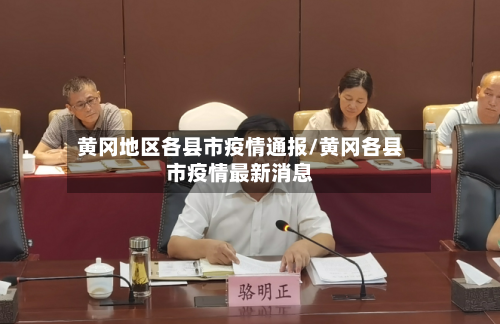 黄冈地区各县市疫情通报/黄冈各县市疫情最新消息-第3张图片