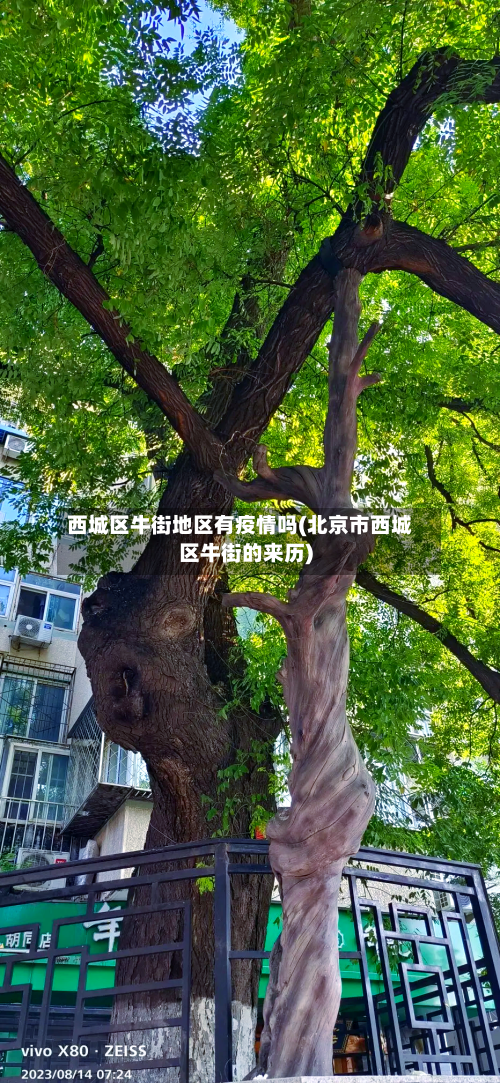 西城区牛街地区有疫情吗(北京市西城区牛街的来历)-第3张图片