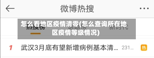 怎么看地区疫情清零(怎么查询所在地区疫情等级情况)-第2张图片