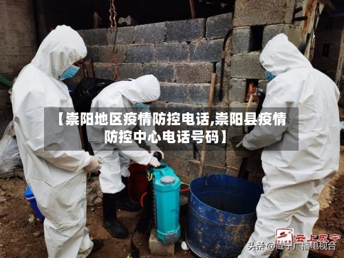 【崇阳地区疫情防控电话,崇阳县疫情防控中心电话号码】-第3张图片
