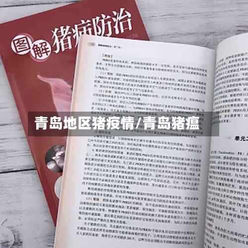 青岛地区猪疫情/青岛猪瘟-第2张图片