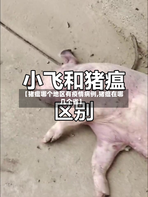 【猪瘟哪个地区有疫情病例,猪瘟在哪几个省】-第2张图片