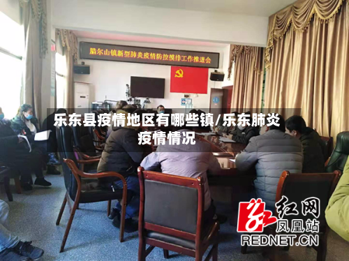 乐东县疫情地区有哪些镇/乐东肺炎疫情情况