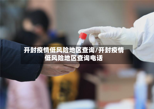 开封疫情低风险地区查询/开封疫情低风险地区查询电话-第3张图片