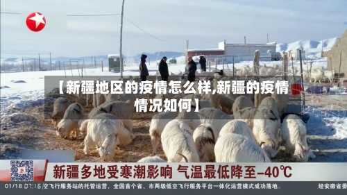 【新疆地区的疫情怎么样,新疆的疫情情况如何】-第2张图片
