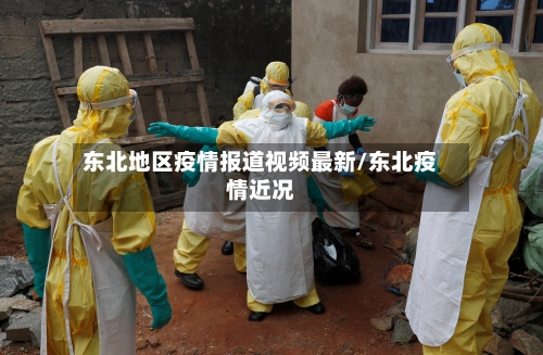 东北地区疫情报道视频最新/东北疫情近况