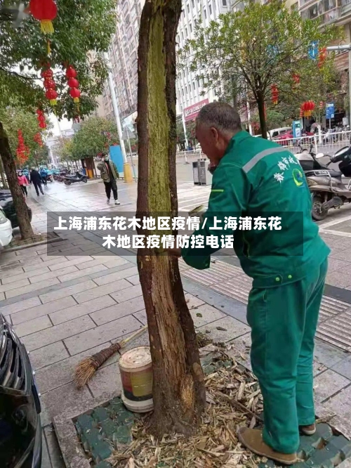 上海浦东花木地区疫情/上海浦东花木地区疫情防控电话-第2张图片