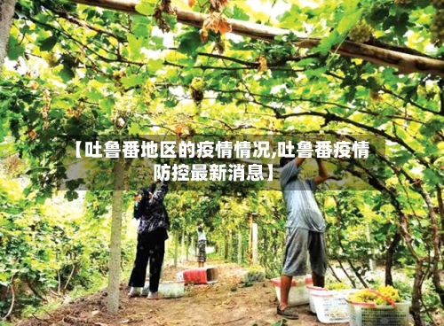 【吐鲁番地区的疫情情况,吐鲁番疫情防控最新消息】