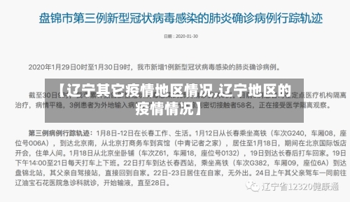 【辽宁其它疫情地区情况,辽宁地区的疫情情况】
