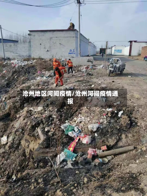 沧州地区河间疫情/沧州河间疫情通报-第2张图片
