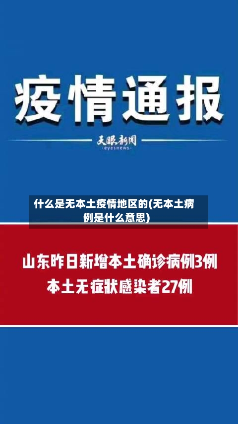 什么是无本土疫情地区的(无本土病例是什么意思)-第2张图片