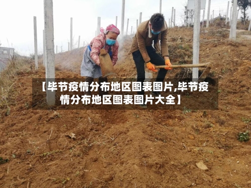 【毕节疫情分布地区图表图片,毕节疫情分布地区图表图片大全】-第2张图片