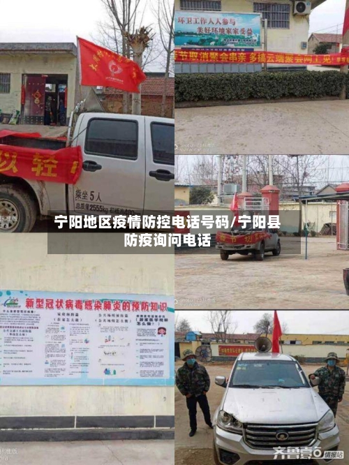 宁阳地区疫情防控电话号码/宁阳县防疫询问电话