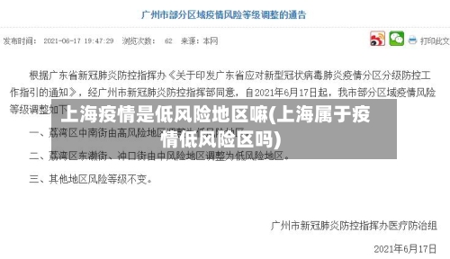 上海疫情是低风险地区嘛(上海属于疫情低风险区吗)-第2张图片
