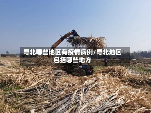 粤北哪些地区有疫情病例/粤北地区包括哪些地方-第3张图片