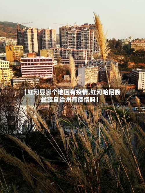 【红河县哪个地区有疫情,红河哈尼族彝族自治州有疫情吗】-第2张图片