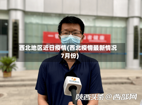 西北地区近日疫情(西北疫情最新情况7月份)-第3张图片