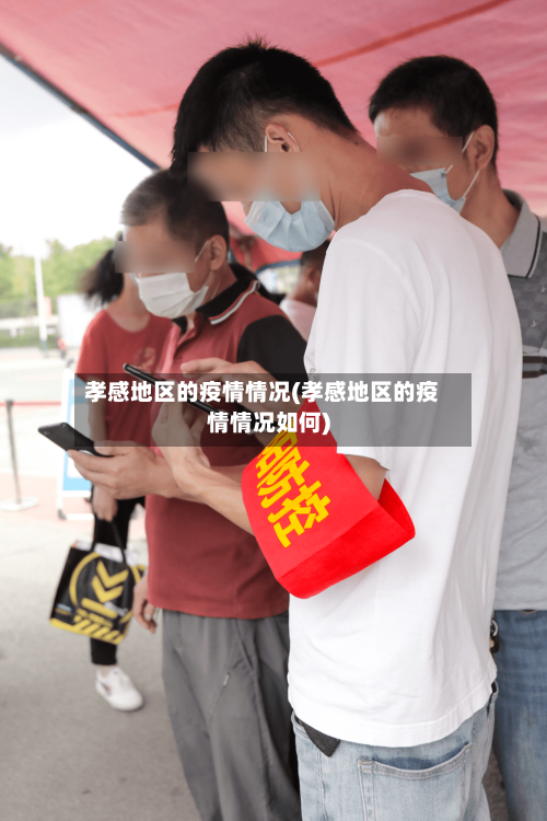 孝感地区的疫情情况(孝感地区的疫情情况如何)-第2张图片