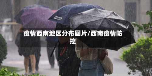 疫情西南地区分布图片/西南疫情防控-第3张图片