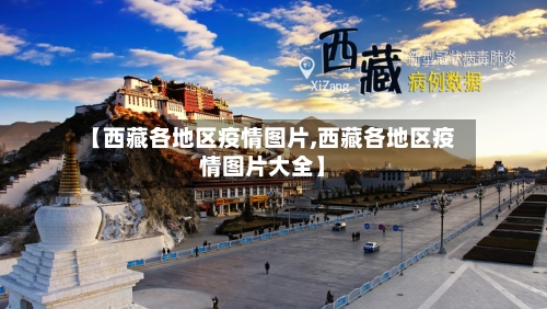 【西藏各地区疫情图片,西藏各地区疫情图片大全】-第2张图片