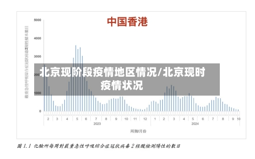 北京现阶段疫情地区情况/北京现时疫情状况-第2张图片